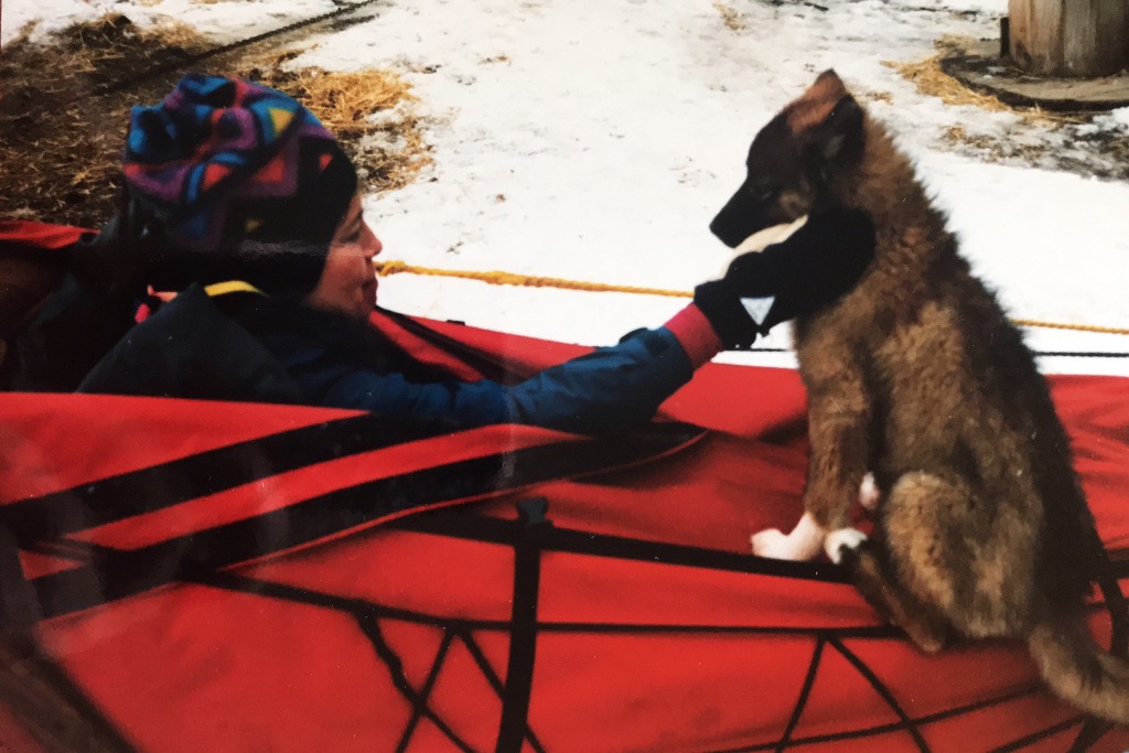 Colleen Coughlin Adventures - Training a future sled dog - Montana